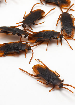 Halloween Simulation Cockroach Tidy Funny Disgusting Scary Toys