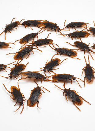 Halloween Simulation Cockroach Tidy Funny Disgusting Scary Toys