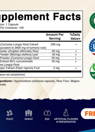 Vitamatic Turmeric Curcumin Supplement (10:1 Equivalent 3000 mg Per Serving, Made with 95% Curcuminoids, Black Pepper, Ginger, Moringa) 120 Vegetable Capsules, Non-GMO, Gluten Free (120 Capsules)